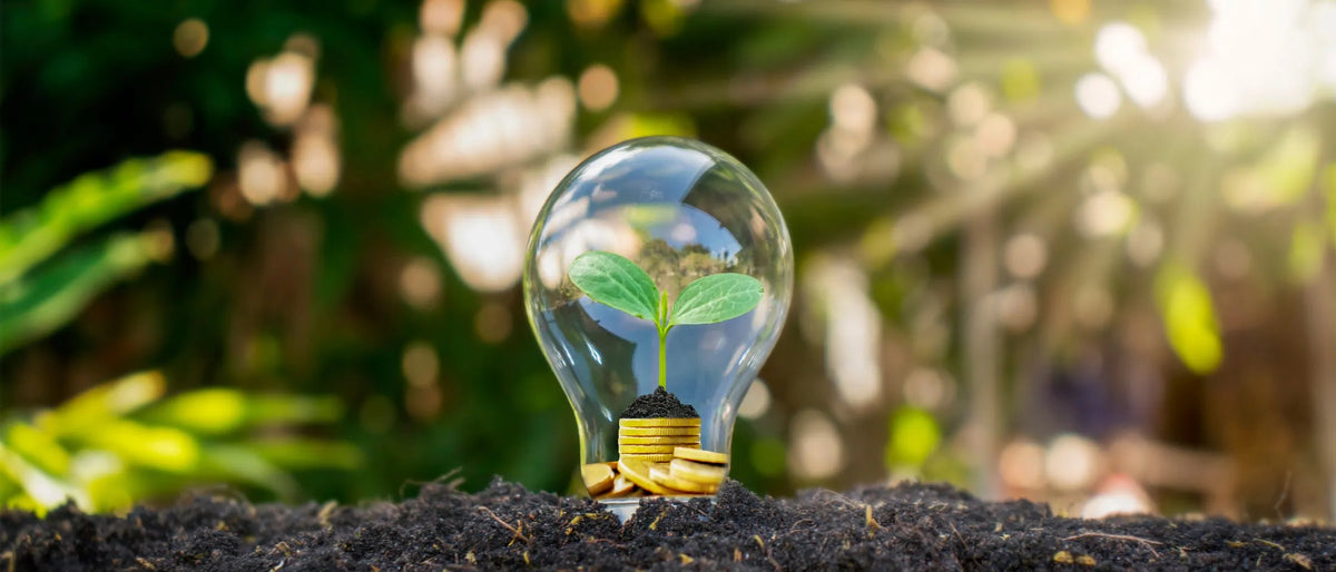 Comment réaliser des économies d'énergie au quotidien ? - Geoplanete