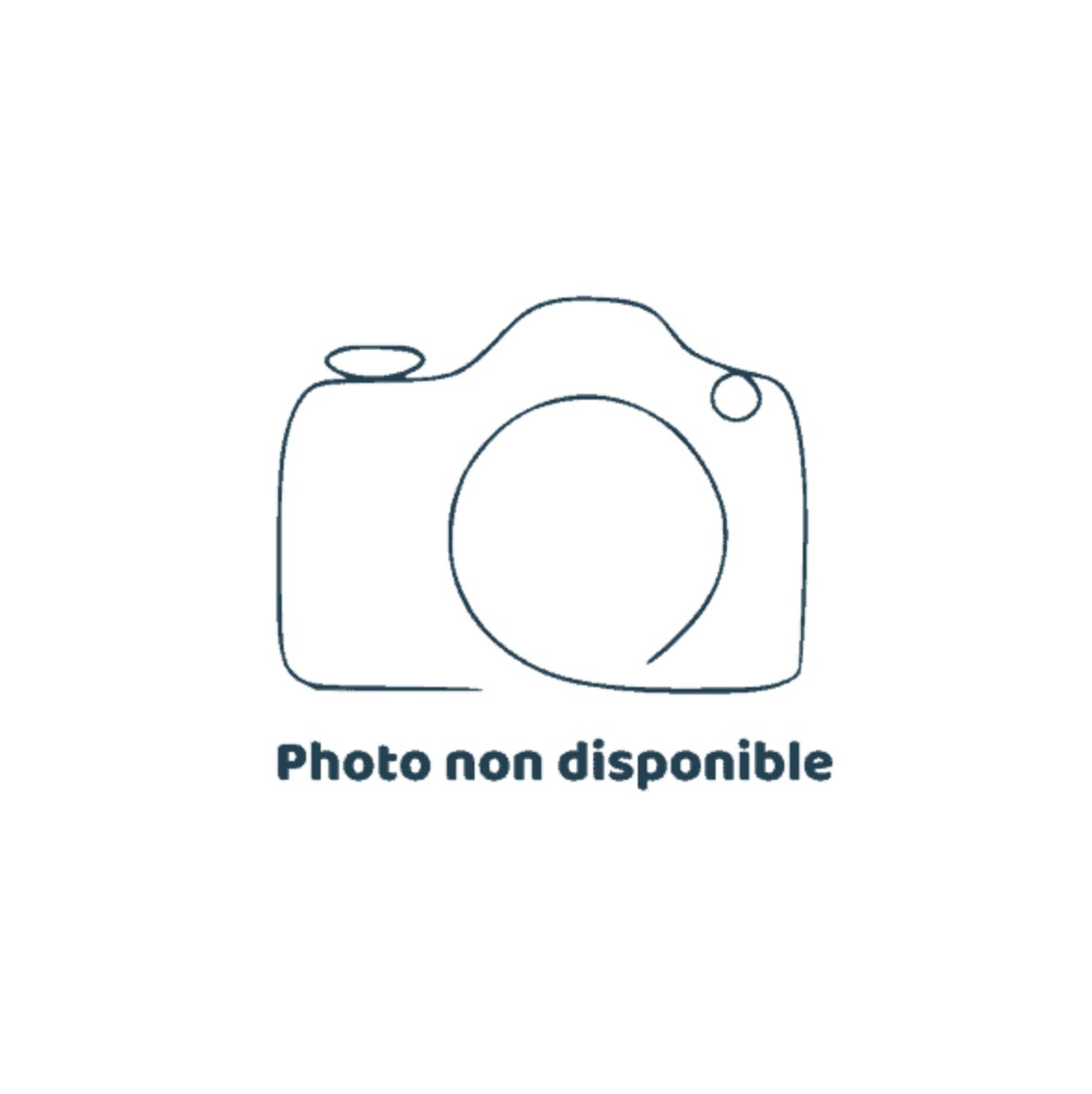 Kit résistance électrique STÉATITE 2200W pour PECS 100, 150 ET 200L - Accessoires #901061