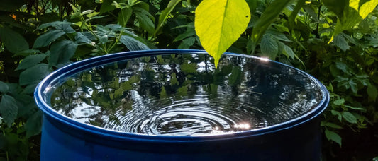 Guide pratique - Récupération et utilisation de l'eau de pluie - Geoplanete