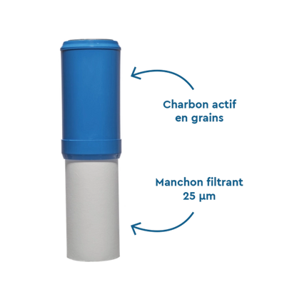 BWT Cartouche B.CARBON – Filtration anti‑goûts, odeurs et impuretés -  125550151