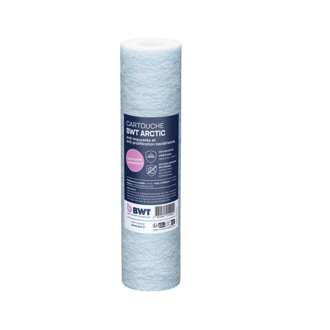Cartouche BWT ARCTIC - anti - impuretés 20µ et anti - prolifération bactérienne - 125667223