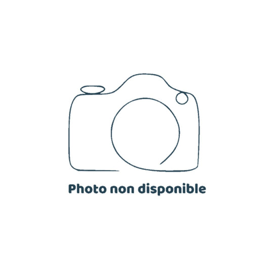 Kit résistance électrique STÉATITE 2200W pour PECS 100, 150 ET 200L - Accessoires #901061