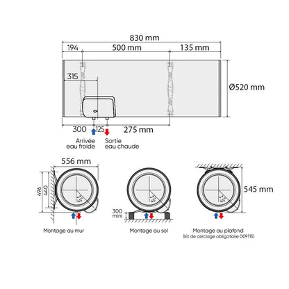 Zénéo Horizontal mural 100L 520x830x556 mm
